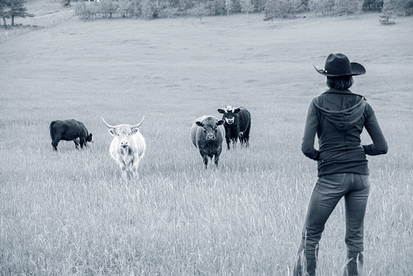 DSC_0001