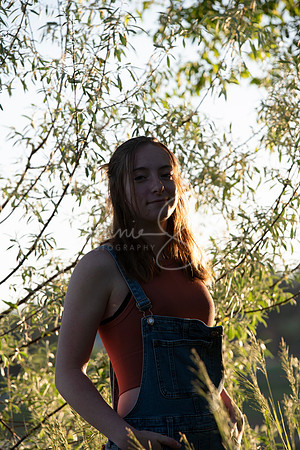 DSC_0344