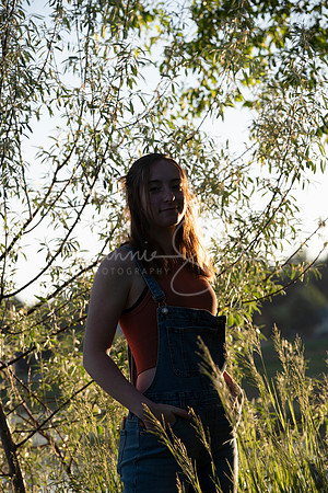 DSC_0343