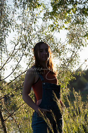 DSC_0342