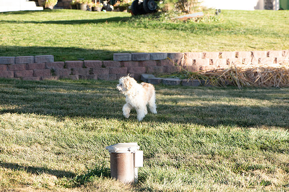 DSC_7500