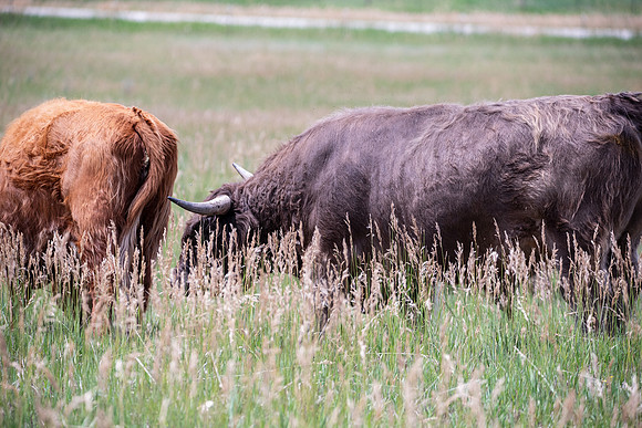 DSC_5328