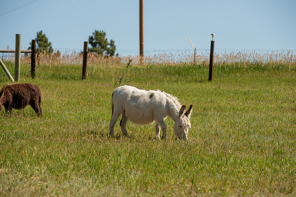 DSC_4831