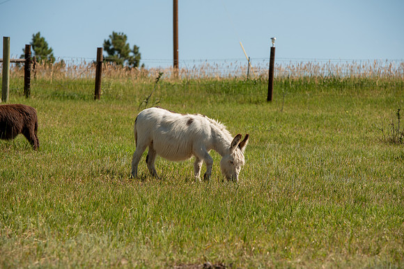 DSC_4830