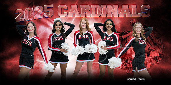 POMS BANNER 10x20